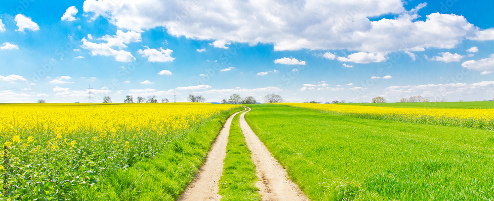 Obraz premium Frühlingsweg