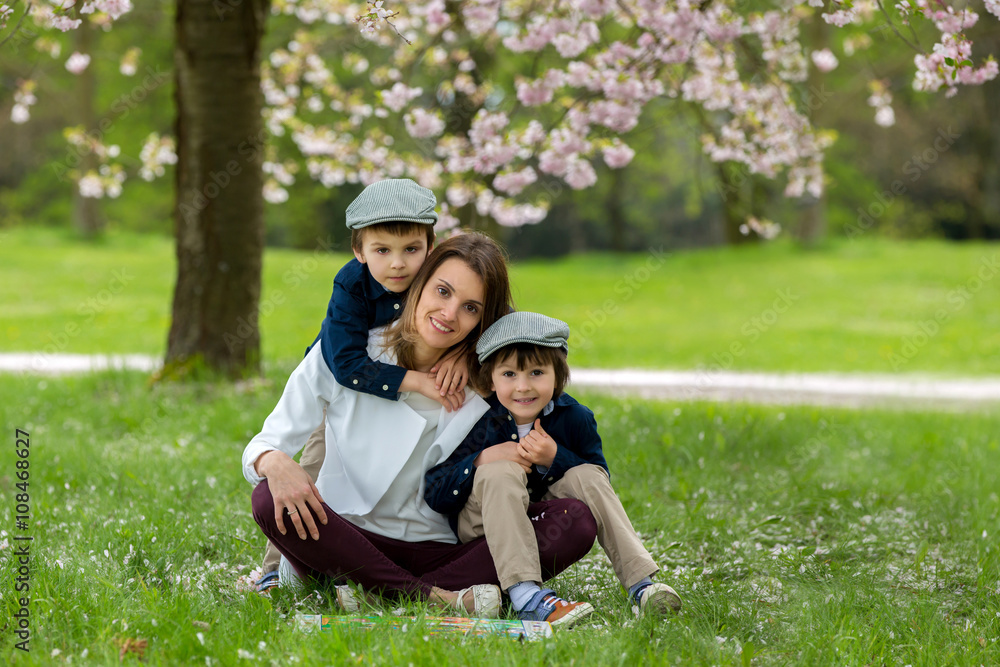 Fototapeta premium Mother with two children, boys, reading a book in a cherry bloss