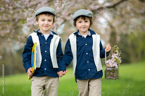 Two cute children, boy brothers, walking in a spring cherry blos photo