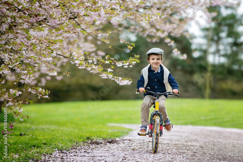 Fototapeta Naklejka Na Ścianę i Meble -  Sweet little preschool children, riding a bike in a cherry bloss