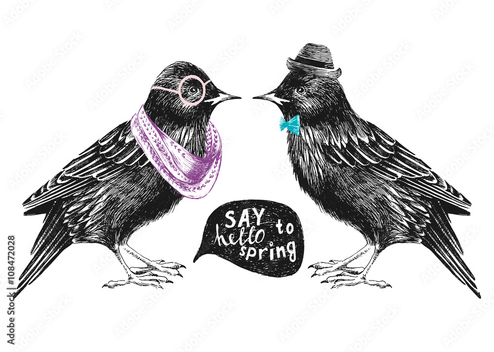 Obraz premium dressed up starling couple
