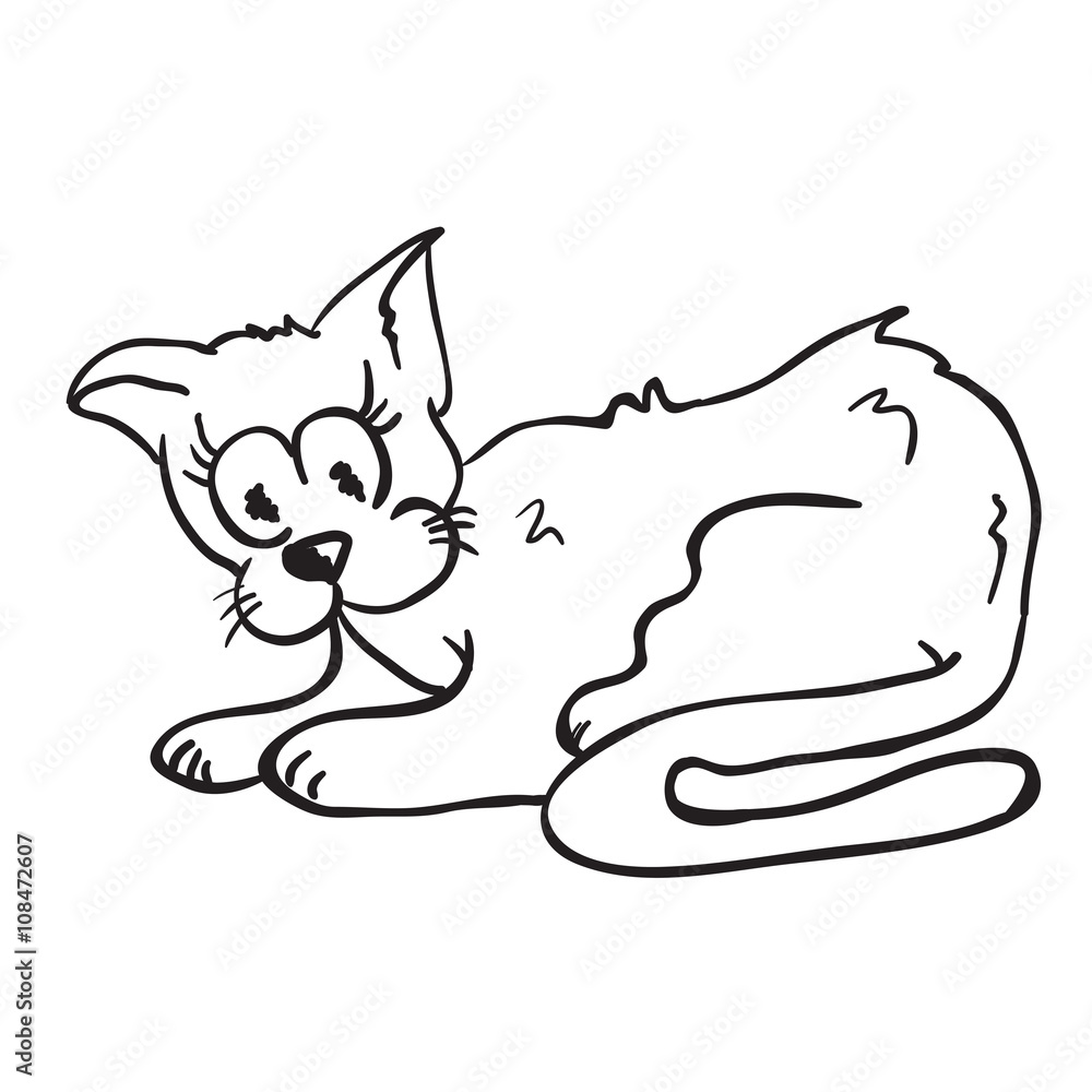 cat cat