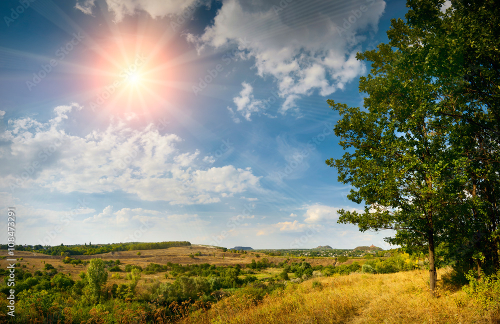 Obraz premium Sunny valley