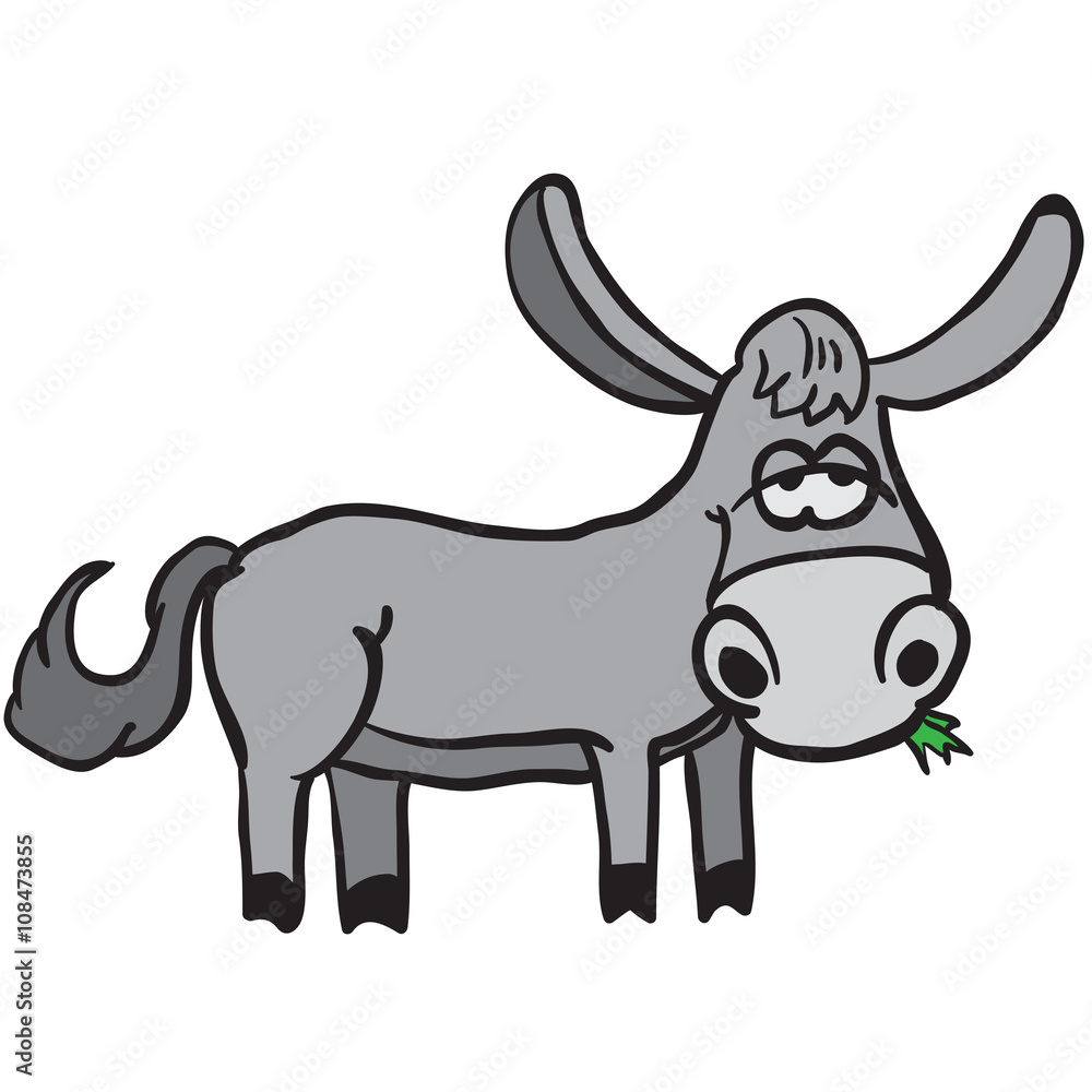 donkey donkey