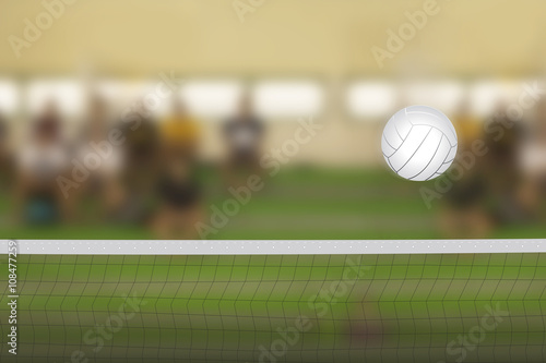Volleyball court