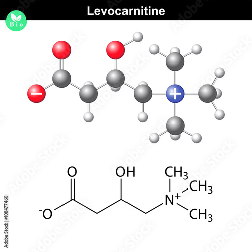 Levocarnitine molecular structure