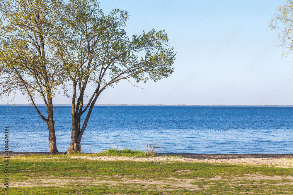 Lonely tree on bank of wide river