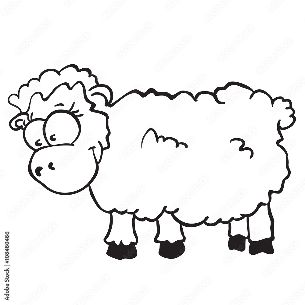 sheep sheep