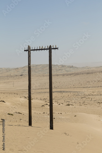 alter Strommast in der W  ste  old power pole in the desert
