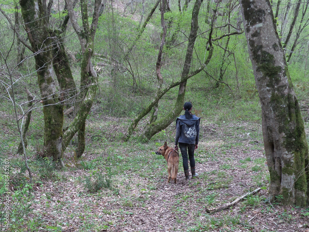 Girl with shepherd dog walking in spring forest Girl with shepherd dog walking in spring forest