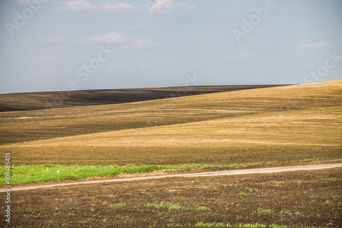 Agricultural Landscape © andrii_popovych