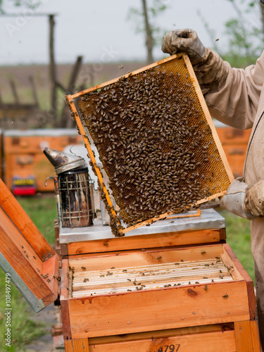 The beekeepers work.
