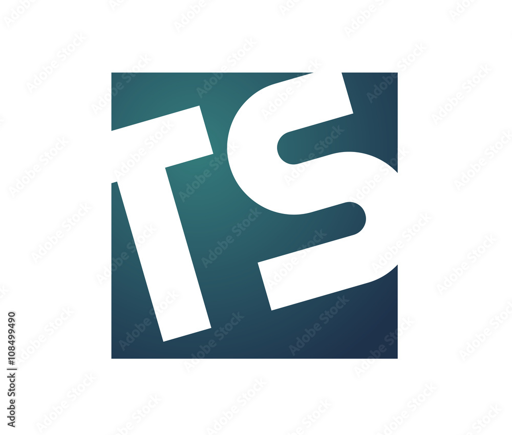 TS Initial Logo for your startup venture TS Initial Logo for your startup venture