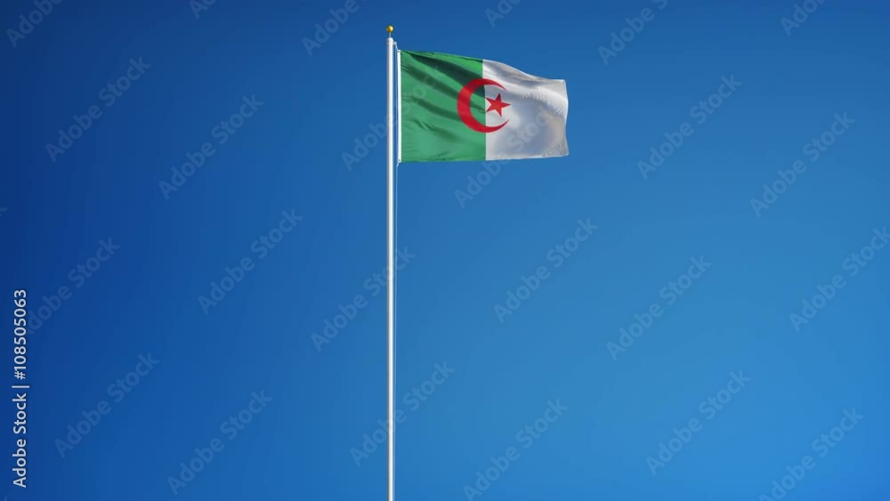 Algeria flag waving in slow motion against clean blue sky, seamlessly looped, long shot, isolated on alpha channel with black and white luminance matte, perfect for film, news, digital composition Algeria flag waving in slow motion against clean blue sky, seamlessly looped, long shot, isolated on alpha channel with black and white luminance matte, perfect for film, news, digital composition
