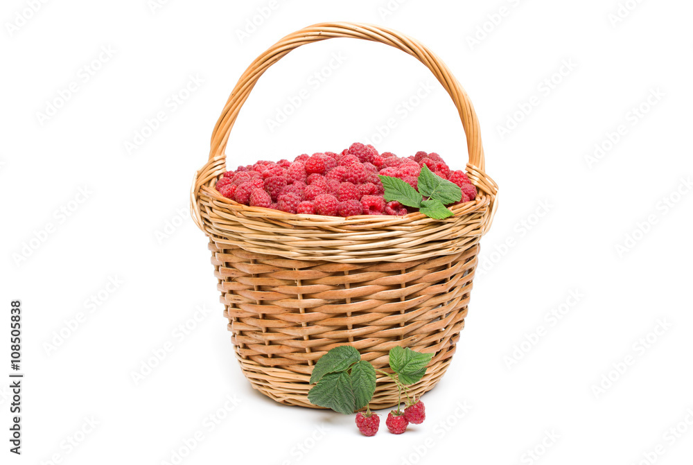 Fresh ripe red raspberries in a wicker bowl Fresh ripe red raspberries in a wicker bowl