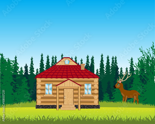 House on glade with flower