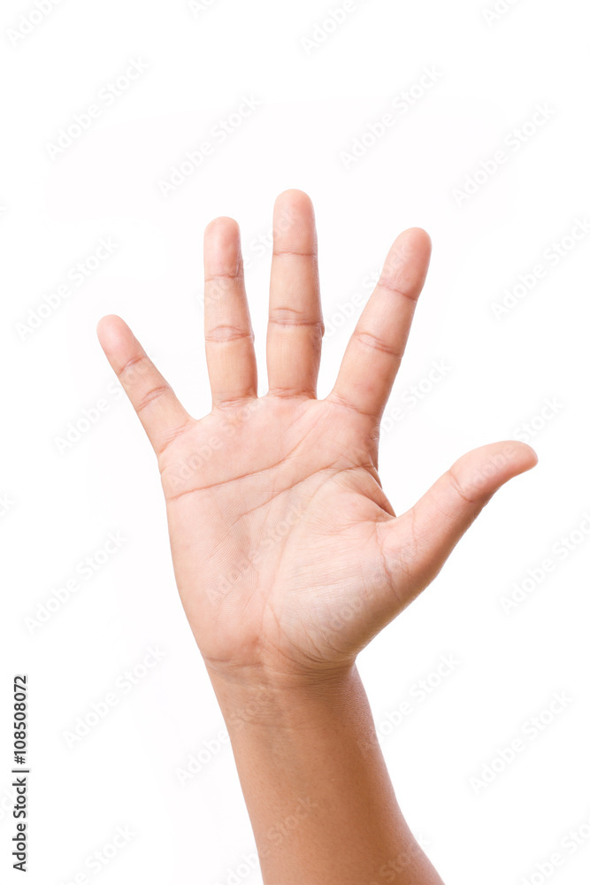 adult female hand or palm, front view adult female hand or palm, front view