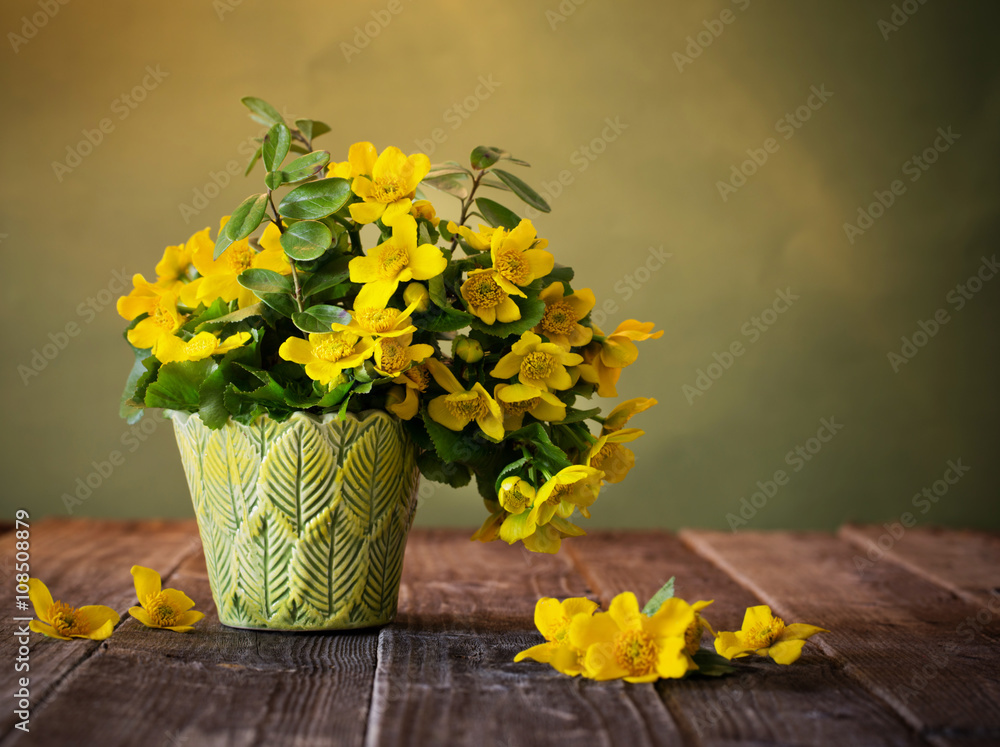 Obraz premium Still life with yellow spring flowers