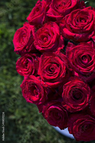 Bouquet of red roses in a box on the grass