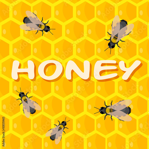 Fototapeta Naklejka Na Ścianę i Meble -  Bees on honeycomb with honey. Cartoon style. Vector illustration