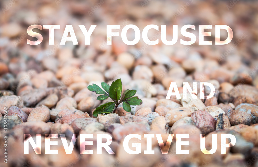 Stay focused and never give up motivational quotes