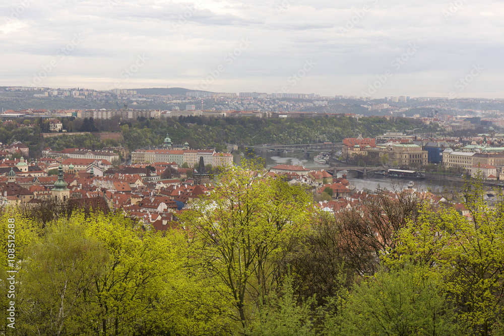 View on the spring Prague City with green Nature and flowering Trees, Czech Republic