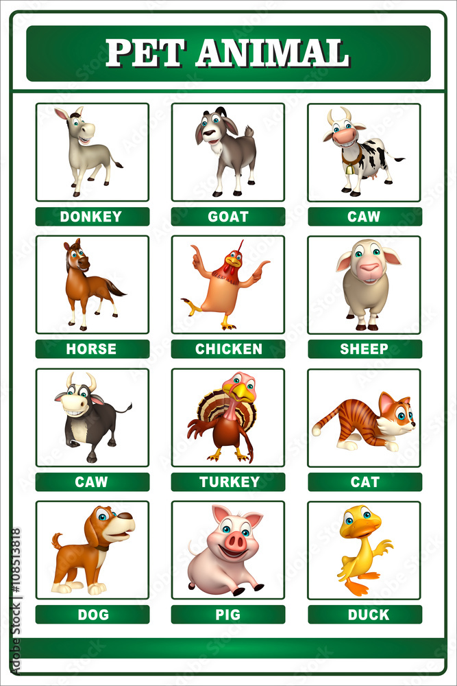 Fototapeta premium pet animal chart