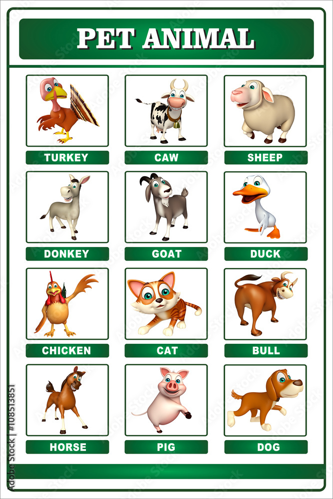 Obraz premium pet animal chart