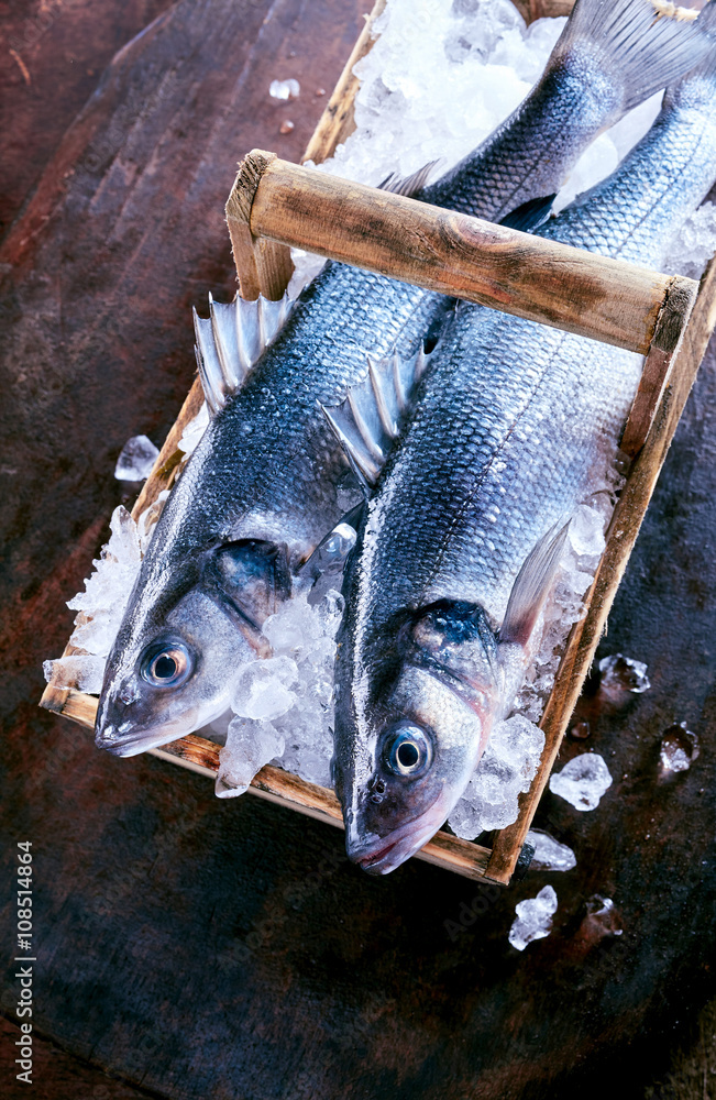 8+ Loup De Mer Fish