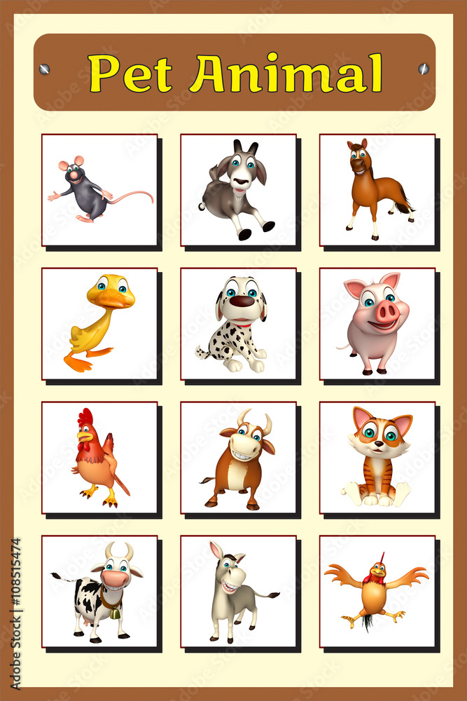 Obraz premium pet animal chart