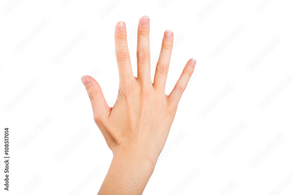 Woman Hand on White Background Woman Hand on White Background