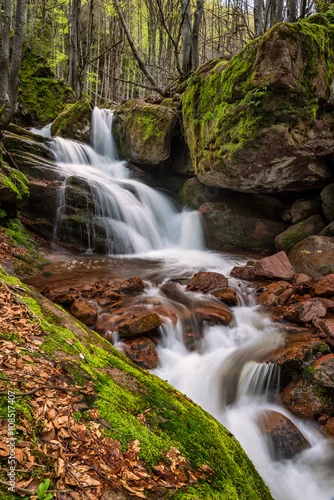 Obraz Wiosna widok siklawa wśród czerwieni kołysa w Bałkańskich górach, Bułgaria