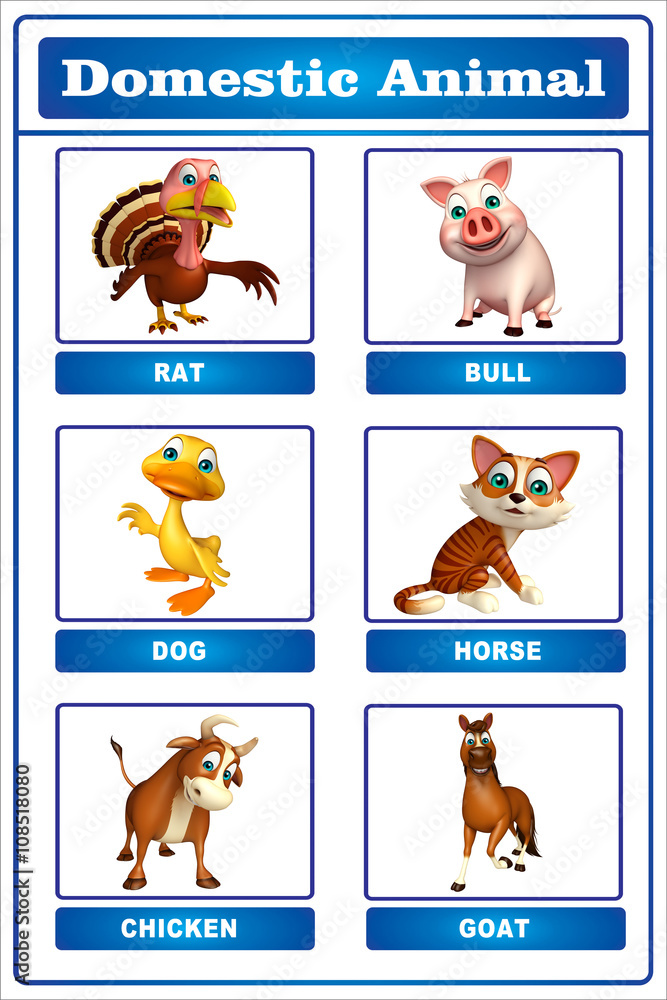 Obraz premium domastic animal chart