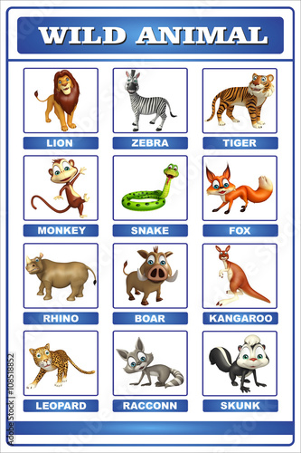 Photography wild animal chart