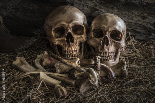 still life couple human skull art abstract background