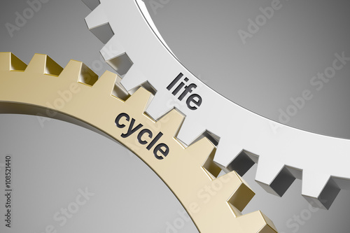 Life cycle