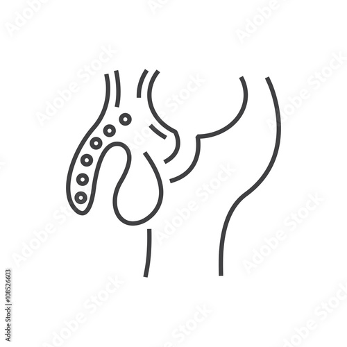 Line icon Urinary tract cancer icon