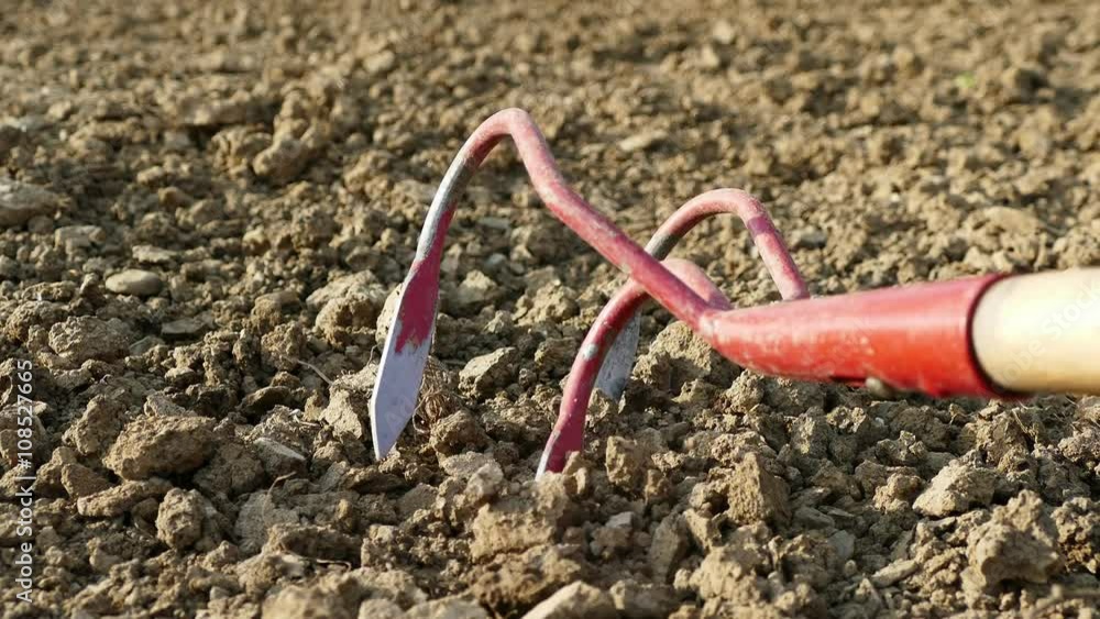 Gardening activity - cultivating the land with a tool, close up, UHD Gardening activity - cultivating the land with a tool, close up, UHD