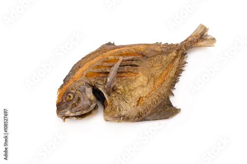 Pompano Fry isolate on white background