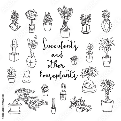 Succulents and other houseplants. Doodle set. Isolated