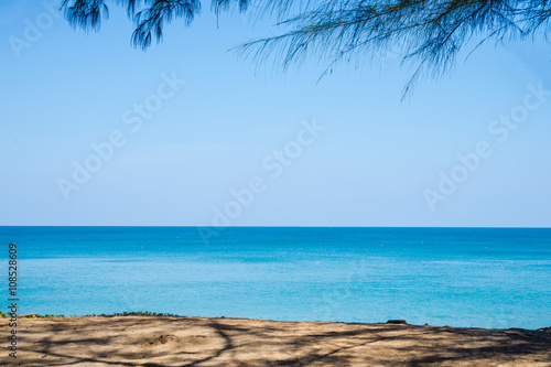Seascape view under the pine