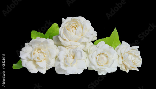 Fototapeta Naklejka Na Ścianę i Meble -  Jasmines flower on white background.