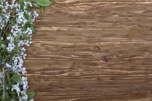 Flowering branch of cherry on the wooden board.