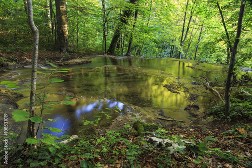 Fototapeta Naklejka Na Ścianę i Meble -  Mountain river in the forest