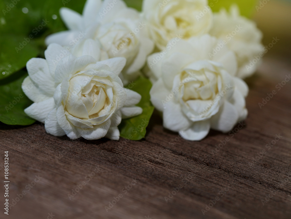Tropical jasmine flower on wood.Jasmine flowers and leaves on br Tropical jasmine flower on wood.Jasmine flowers and leaves on br