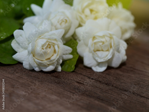 Tropical jasmine flower on wood.Jasmine flowers and leaves on br