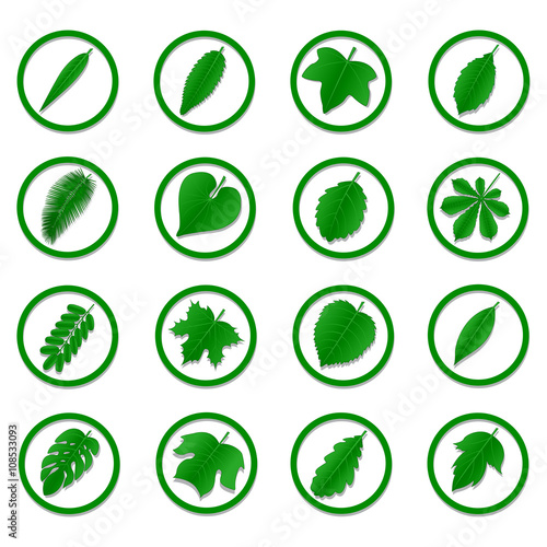 A diverse collection of green leaves in the form of icons