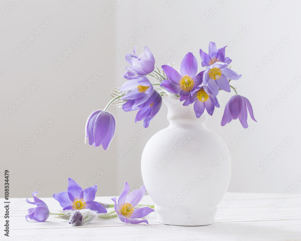 spring flowers in vase on white background spring flowers in vase on white background
