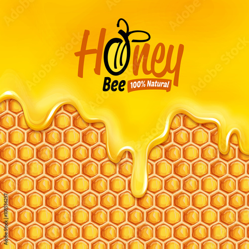 honey nest