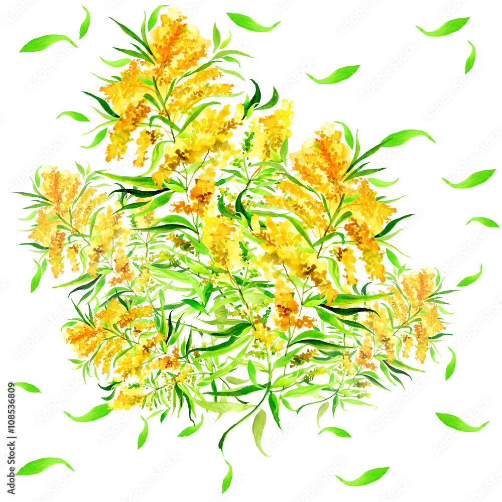 Vintage pattern. Yellow garden flowers on a branch in watercolor. Mimosa - obrazy, fototapety, plakaty 